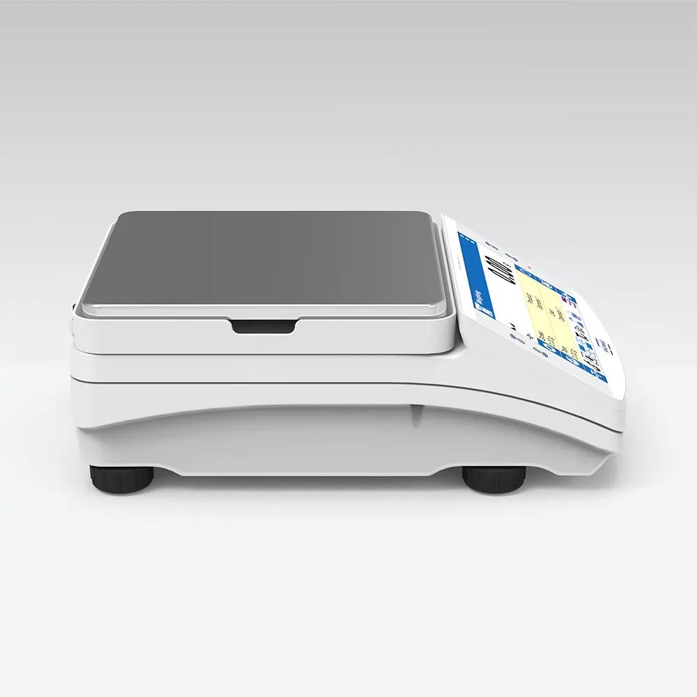 PS 8100.X7.M Precision Balance — view 2