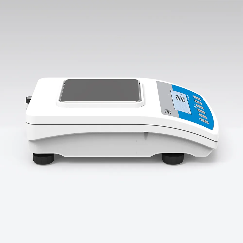 WLC 0.6/A1/C/2 Precision Balance — view 3