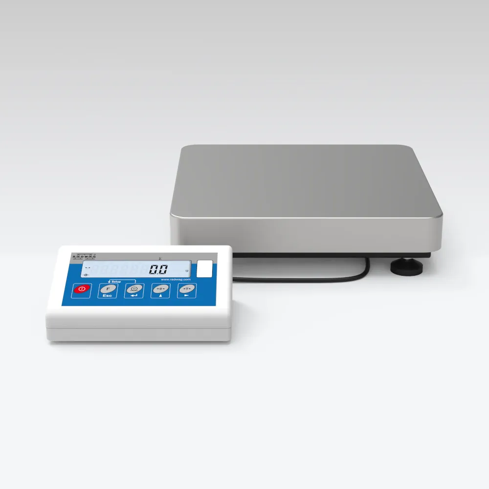 WLC 12/F1/K Precision Balance — main photograph
