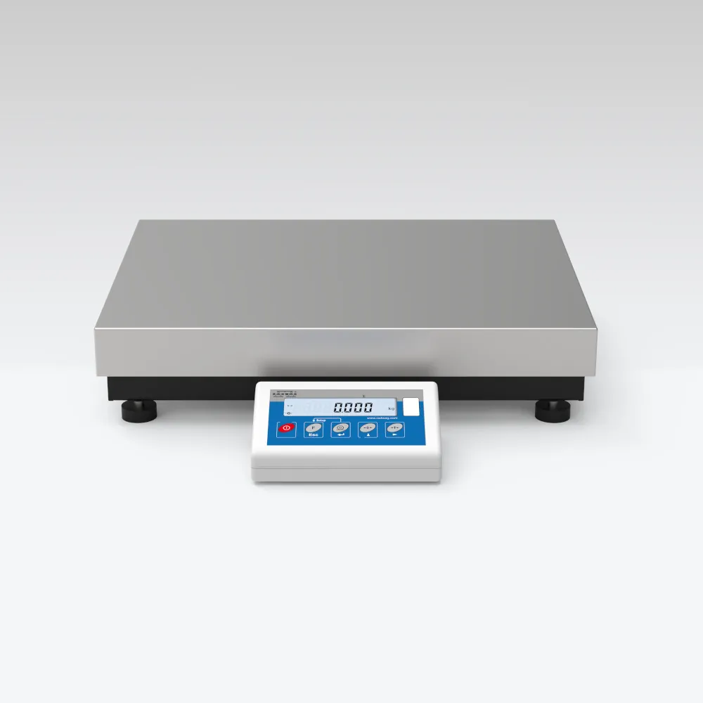 WLC 30/60/C2/R Precision Balance — main photograph