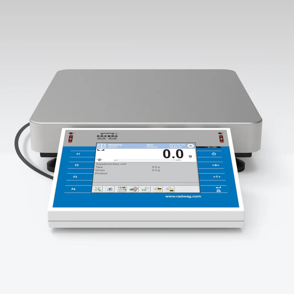 WLY 12/F1/K Precision Balance — main photograph
