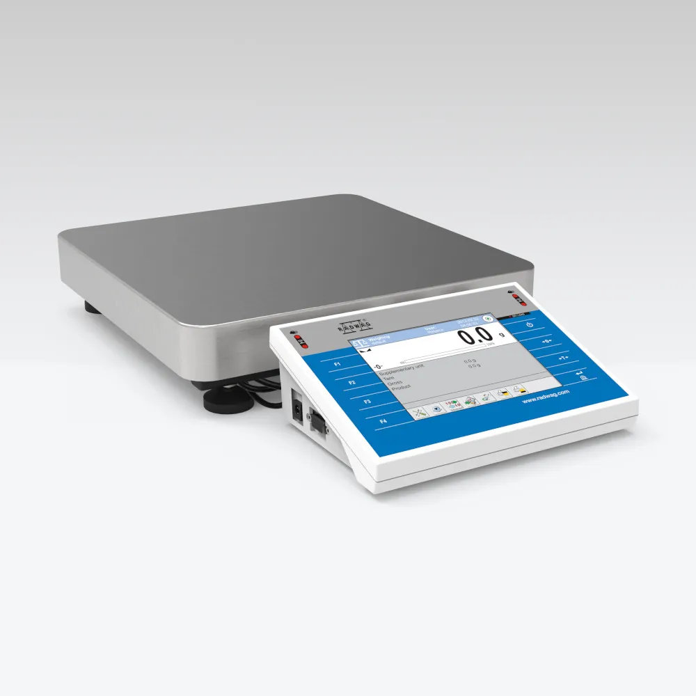 WLY 12/F1/K Precision Balance — view 2