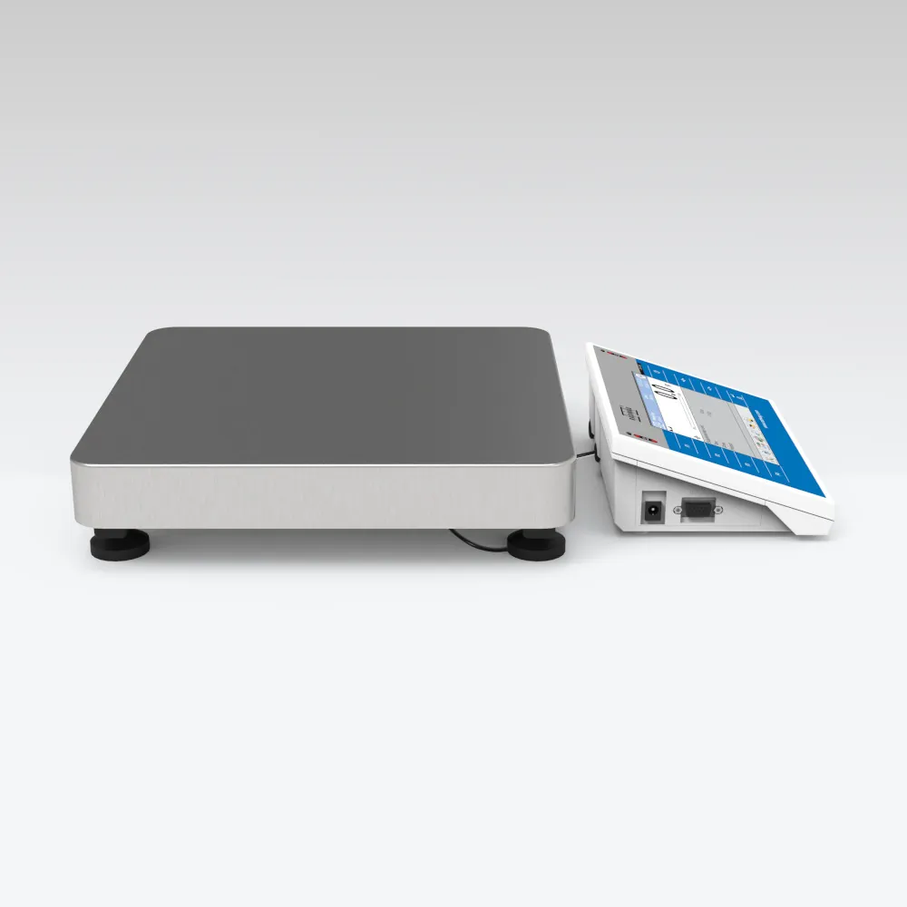 WLY 12/F1/K Precision Balance — view 3