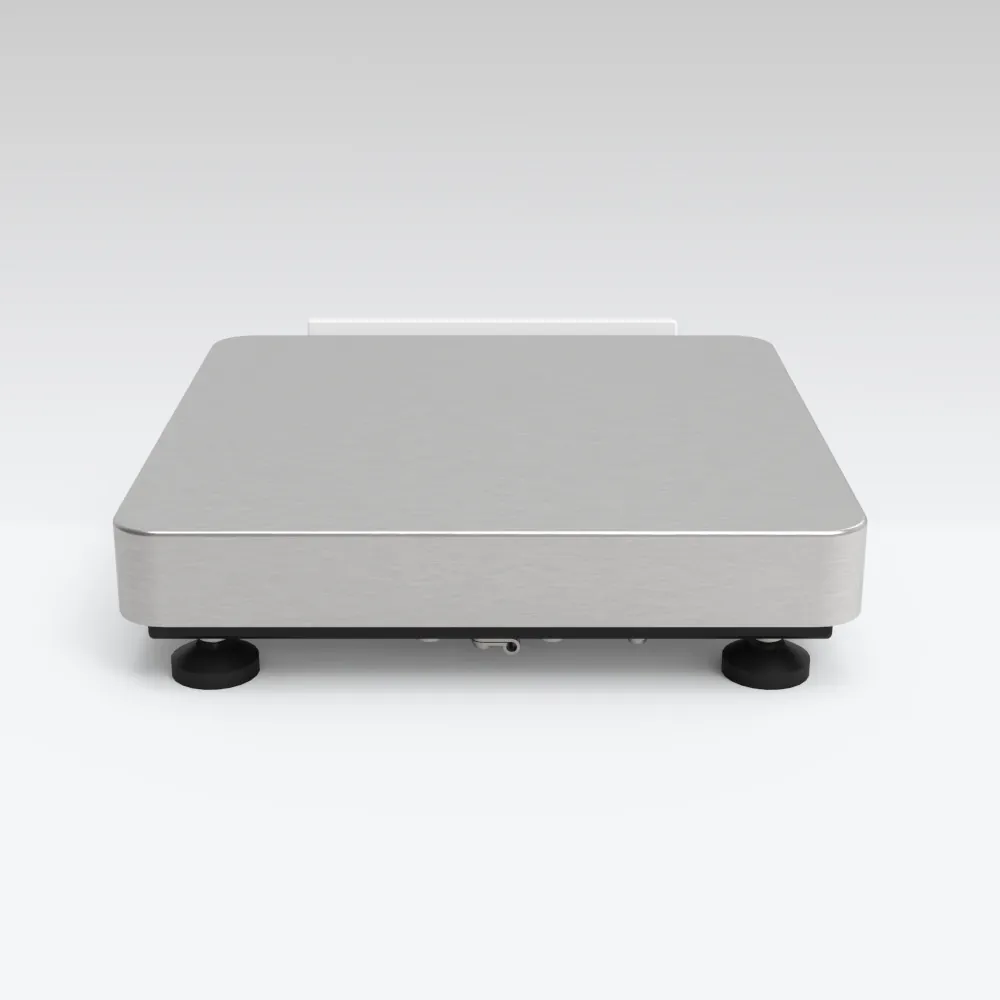 WLY 12/F1/K Precision Balance — view 4