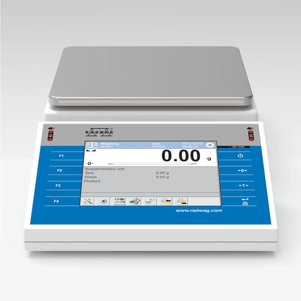 WLY 2/D2 Precision Balance — main photograph