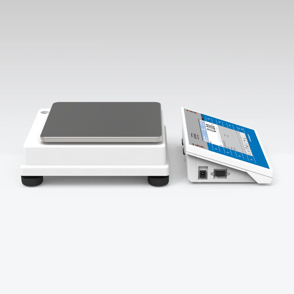 WLY 2/D2 Precision Balance — view 3