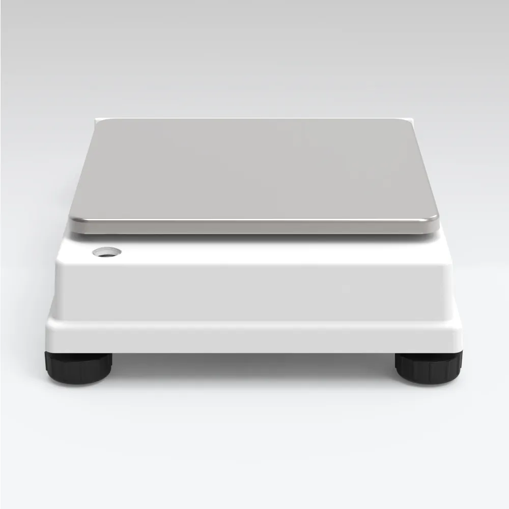 WLY 2/D2 Precision Balance — view 4