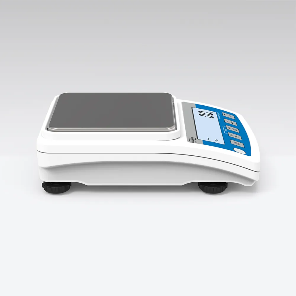 WTC 3000 Precision Balance — view 3